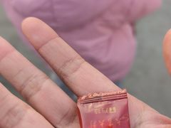 -郑州方特梦幻王国