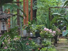 -谷咖啡·鲜花绿植花园餐厅