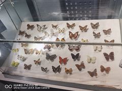 -亚忠小吃店(曾厝垵店)