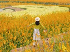 -三圣花乡旅游区