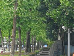 -重庆市江北嘴中央商务区中央公园