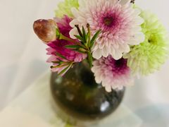 -蝶舍·MAISON PAPILLON