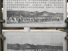 -安仁古镇