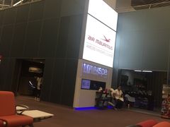 -西沃古尔·拉姆古兰爵士国际机场