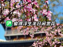 -常熟方塔园