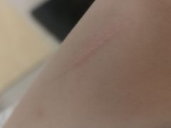 -小杨生煎(成山巴黎春天店)