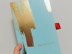 -Tiffany & Co.蒂芙尼
(武汉武商MALL店)
