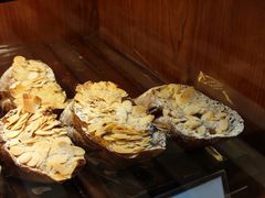 -都恩客(高岛屋百货店)