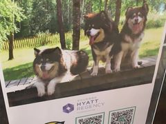 -长白山凯悦酒店·市集咖啡厅