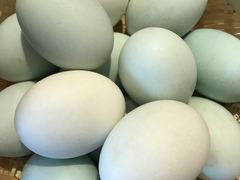 -红荔村肠粉(岗厦店)