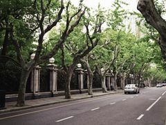 -夏朵花园(复兴西路店)