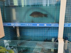-梅利汴京烤鸭•开封豫菜地标店(晋安路店)