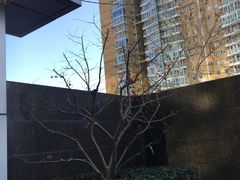 -北京希尔顿逸林酒店