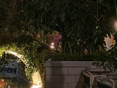 -船屋葡国餐厅