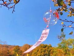 -老山国家森林公园