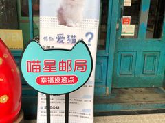 -猫咪博物馆(顶澳仔猫街店)