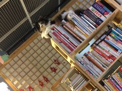 大堂-小时光咖啡馆(开森度假森林店)