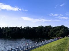 -佛手湖郊野公园