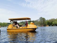 -上海共青森林公园