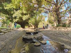 -成都市活水公园