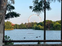 -上海野生动物园