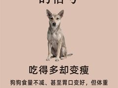 -瑞鹏宠物医院·骨外科·心肾科·肿瘤科(九亭店)