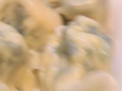 -八珍饺子·烤鸭·家常菜
