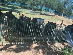-秦皇岛野生动物园