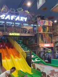 -卡通尼·Safari非洲探索乐园·生日会(金桥国际商业广场店)
