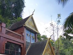 -西双版纳原始森林公园