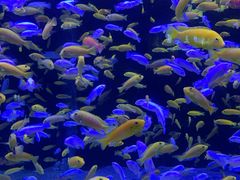 -成都浩海立方海洋公园