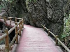 -牛背梁国家森林公园