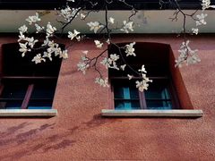 -浙江省杭州高级中学(贡院校区)