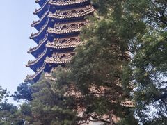 -博雅塔