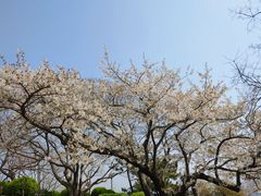 -青岛海滨风景区小青岛