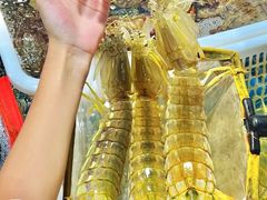 -凯华海鲜火锅·传承三十六年