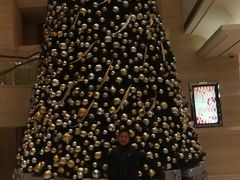 -上海新发展亚太JW万豪酒店