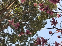 -苏州环秀晓筑养生度假村