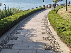 -燕儿岛山公园