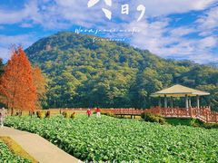 -广州市石门国家森林公园