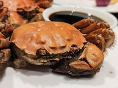 -广州万富希尔顿酒店-感趣自助餐厅·生蚝海鲜刺身