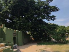 -大嶝英雄三岛战地观光园