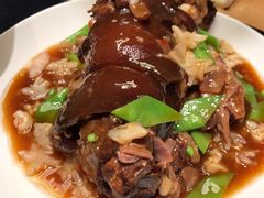 三鲜扒肘子-悦海·家宴·冰花皮皮虾大锅贴(宝龙店)
