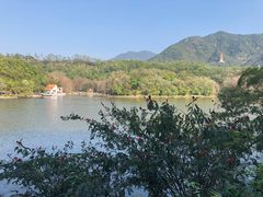 -深圳仙湖植物园