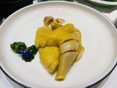 白切葵花鸡/半只-白天鹅宾馆-玉堂春暖餐厅