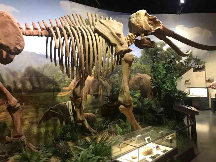 万寿岩遗址博物馆-"岩前万寿岩,今天休息带孩子来走走,太阳好.