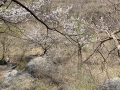 -京西十八潭风景区