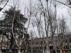 -南京中国近代史遗址博物馆(南京总统府)