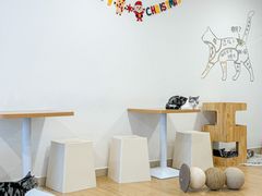 -有喵·猫咖·狗咖·40+猫狗有小奶狗(岗厦店)