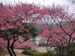-重庆彩云湖湿地公园